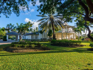Spring in Barbados