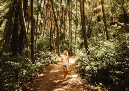 Hiking Trails