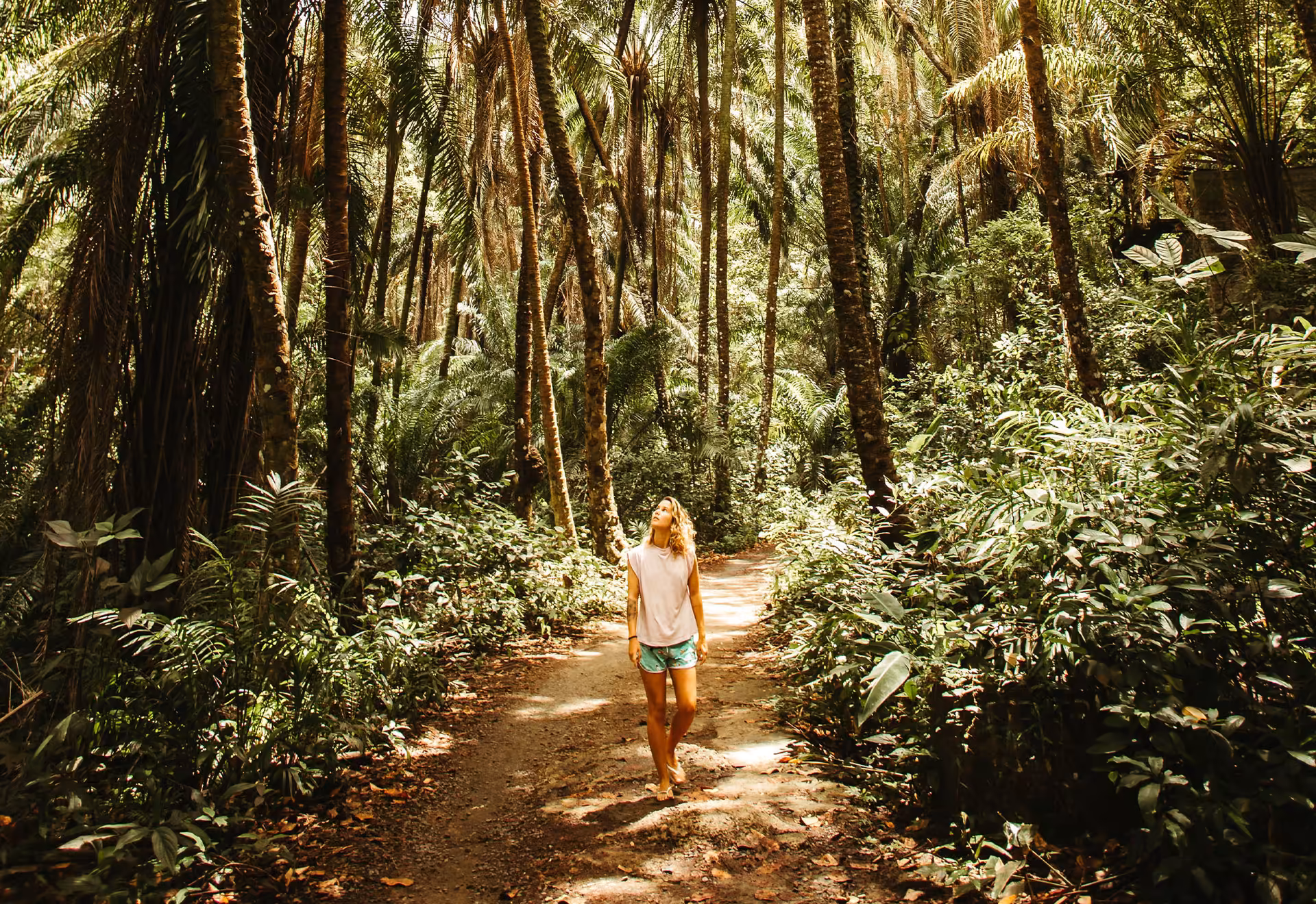 Hiking Trails